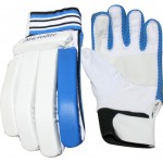 RS Robinson Microlite Batting Gloves (Boys)